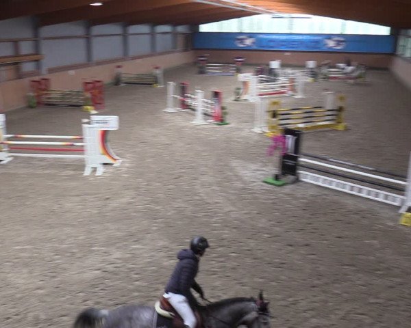 Reitturnier Osterholz-Scharmbeck 2024