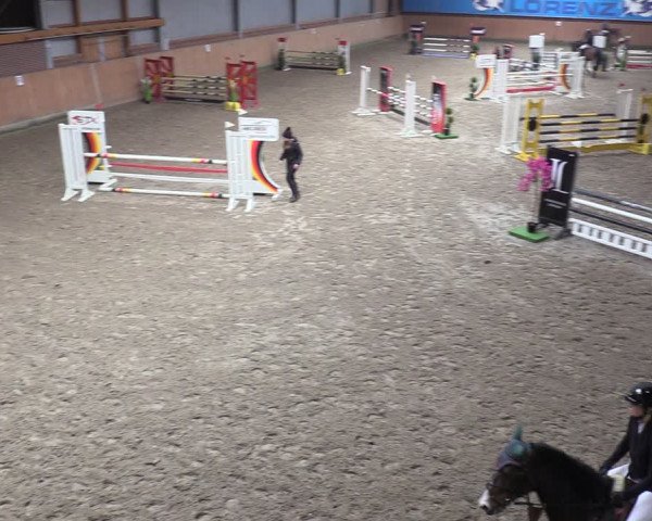 Reitturnier Osterholz-Scharmbeck 2024