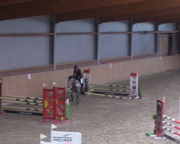 Reitturnier Osterholz-Scharmbeck 2024