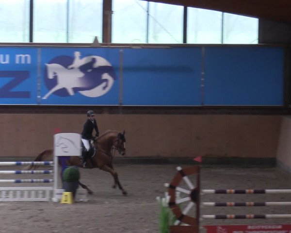Reitturnier Osterholz-Scharmbeck 2024