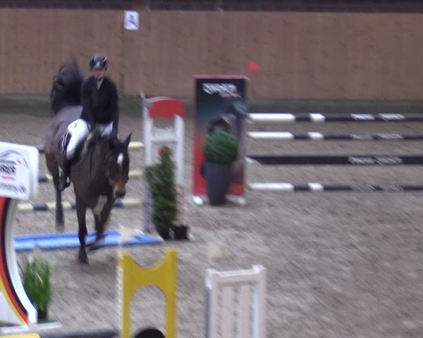 Reitturnier Osterholz-Scharmbeck 2024
