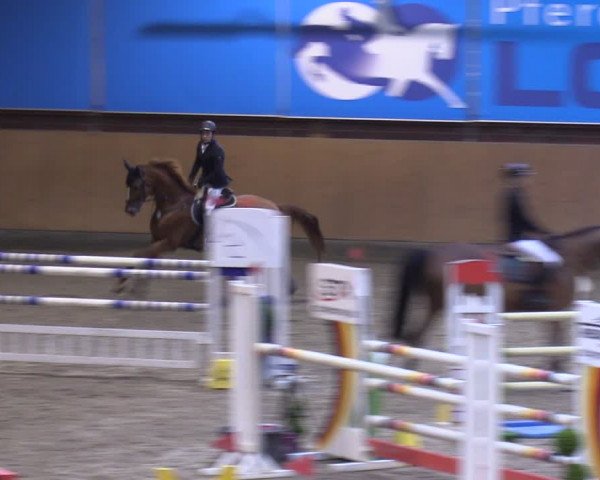 Reitturnier Osterholz-Scharmbeck 2024