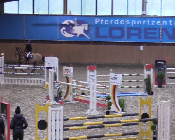 Reitturnier Osterholz-Scharmbeck 2024