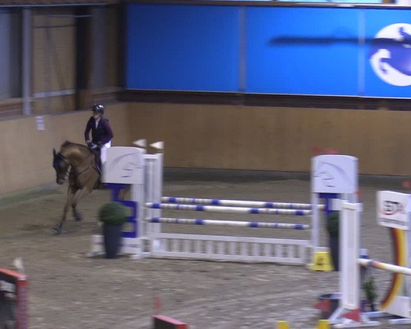Reitturnier Osterholz-Scharmbeck 2024