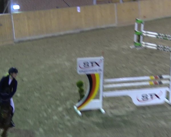 Reitturnier Osterholz-Scharmbeck 2024