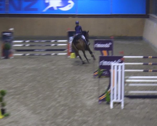 Reitturnier Osterholz-Scharmbeck 2024