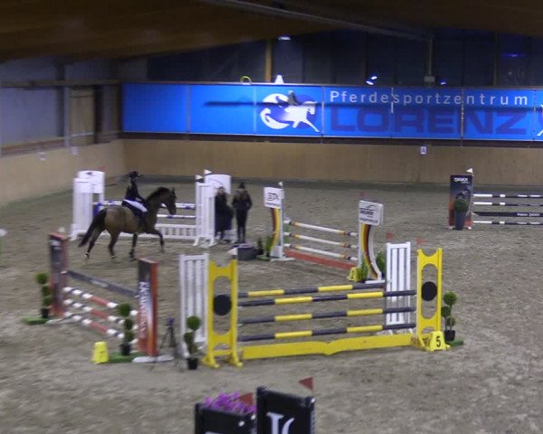 Reitturnier Osterholz-Scharmbeck 2024