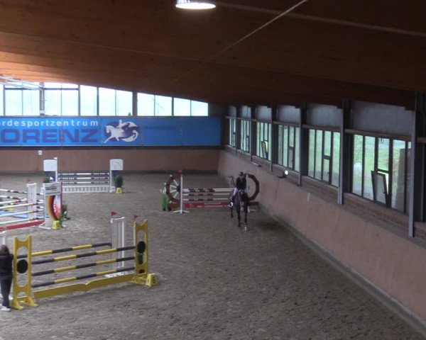 Reitturnier Osterholz-Scharmbeck 2024