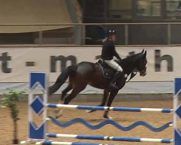 Reitturnier Kreuth/Opf. 2024