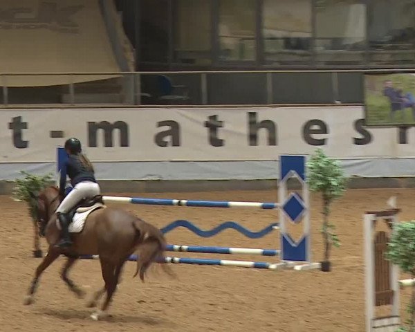Reitturnier Kreuth/Opf. 2024