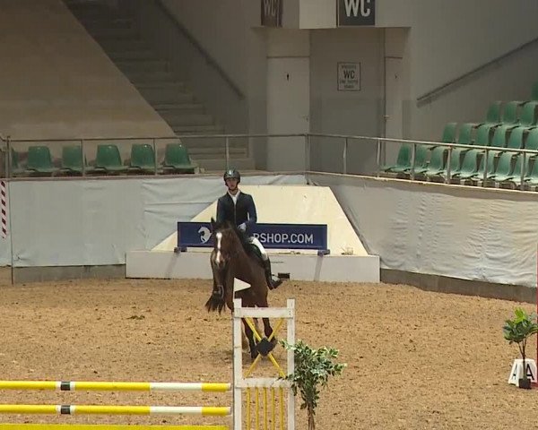 Reitturnier Kreuth/Opf. 2024