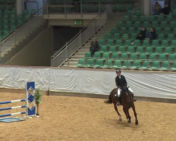 Reitturnier Kreuth/Opf. 2024