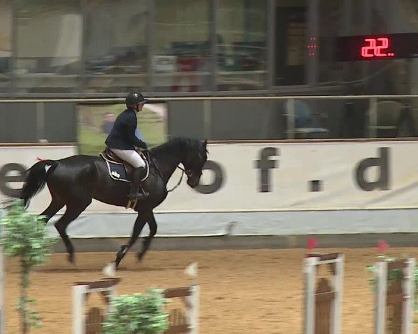 Reitturnier Kreuth/Opf. 2024