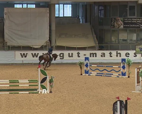 Reitturnier Kreuth/Opf. 2024