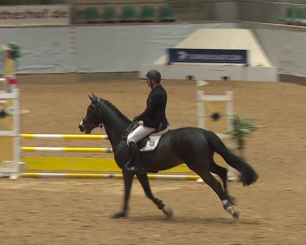 Reitturnier Kreuth/Opf. 2024