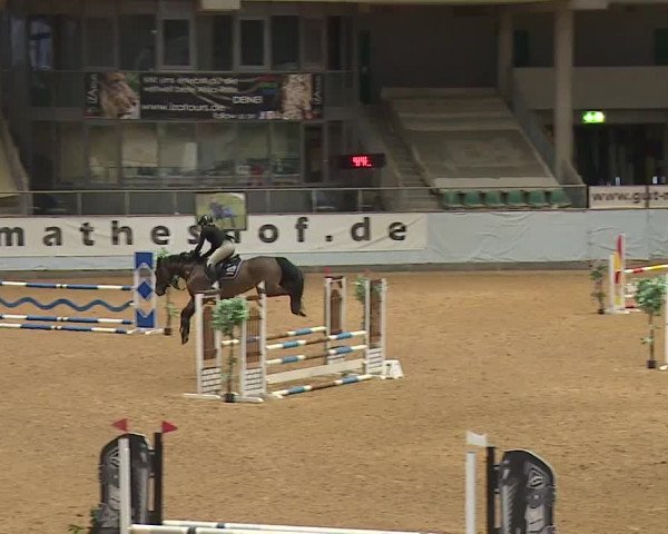 Reitturnier Kreuth/Opf. 2024