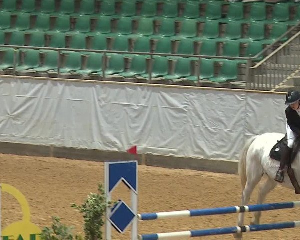 Reitturnier Kreuth/Opf. 2024
