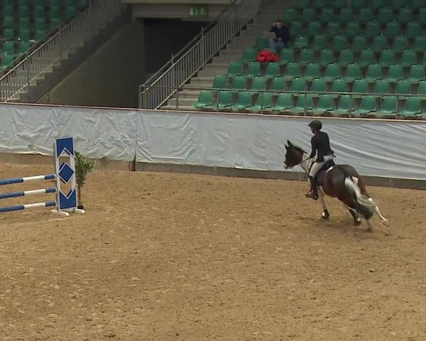 Reitturnier Kreuth/Opf. 2024
