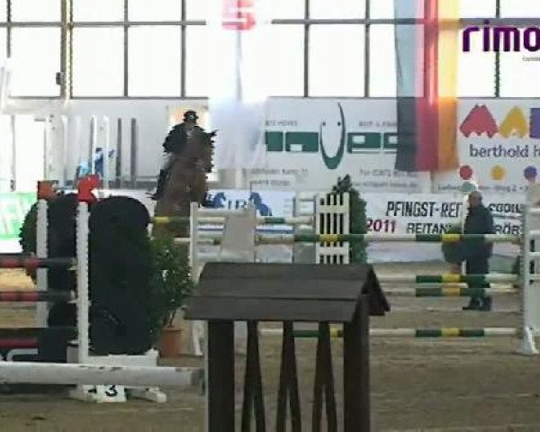 Borken 2011