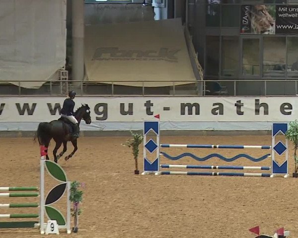 Reitturnier Kreuth/Opf. 2024