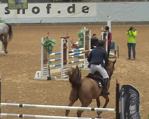 Reitturnier Kreuth/Opf. 2024