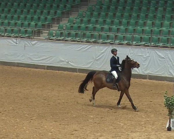 Reitturnier Kreuth/Opf. 2024
