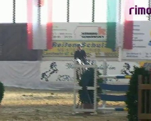 Borken 2011