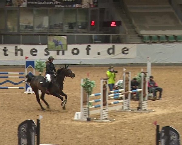 Reitturnier Kreuth/Opf. 2024