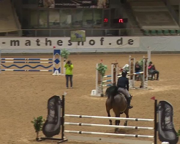 Reitturnier Kreuth/Opf. 2024
