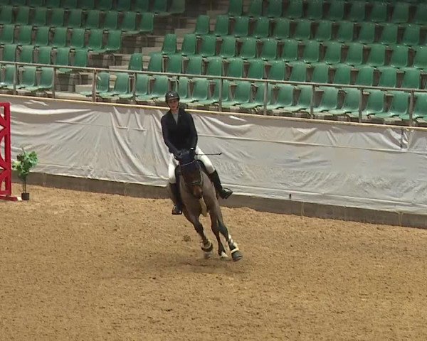 Reitturnier Kreuth/Opf. 2024