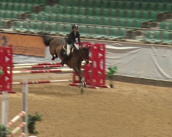 Reitturnier Kreuth/Opf. 2024