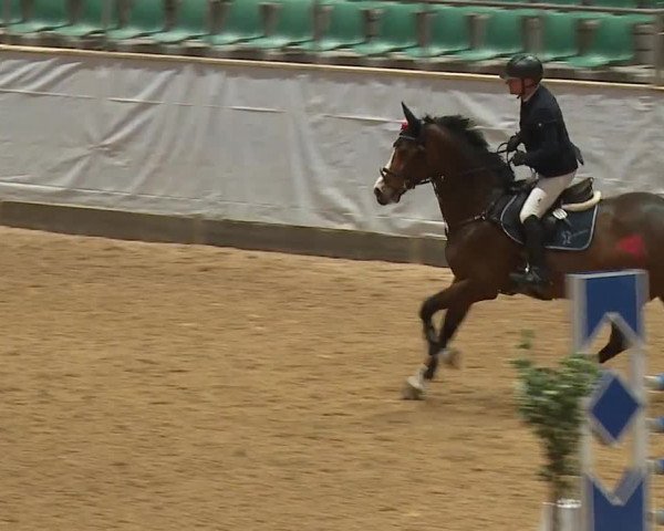 Reitturnier Kreuth/Opf. 2024
