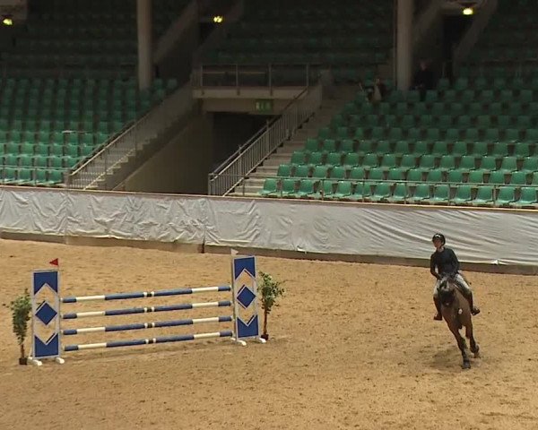 Reitturnier Kreuth/Opf. 2024