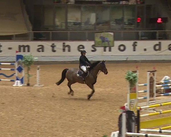 Reitturnier Kreuth/Opf. 2024