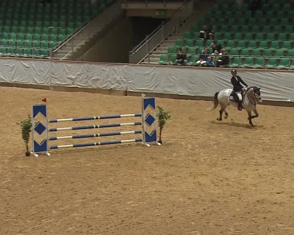 Reitturnier Kreuth/Opf. 2024