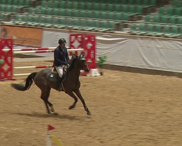 Reitturnier Kreuth/Opf. 2024