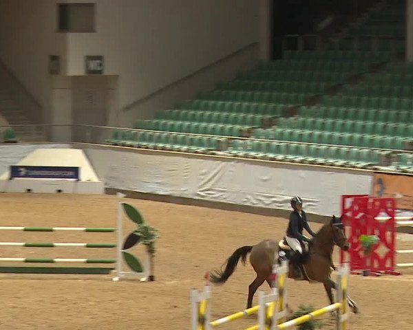 Reitturnier Kreuth/Opf. 2024