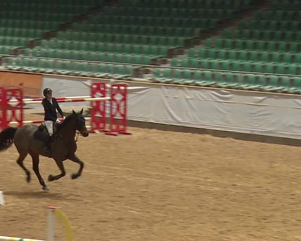 Reitturnier Kreuth/Opf. 2024