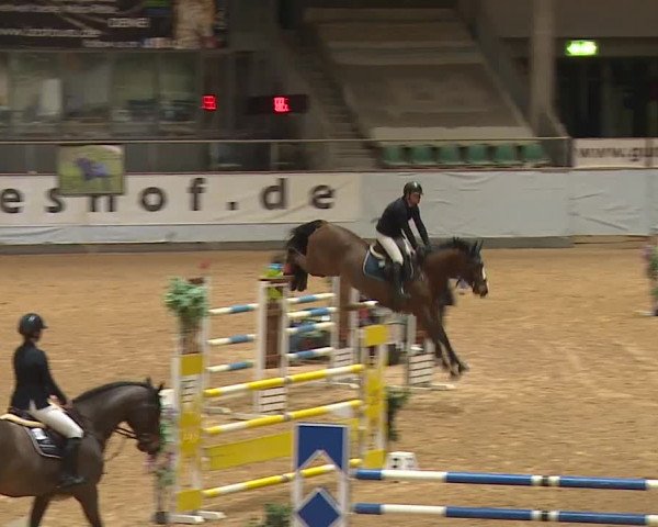 Reitturnier Kreuth/Opf. 2024
