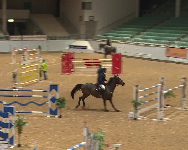 Reitturnier Kreuth/Opf. 2024