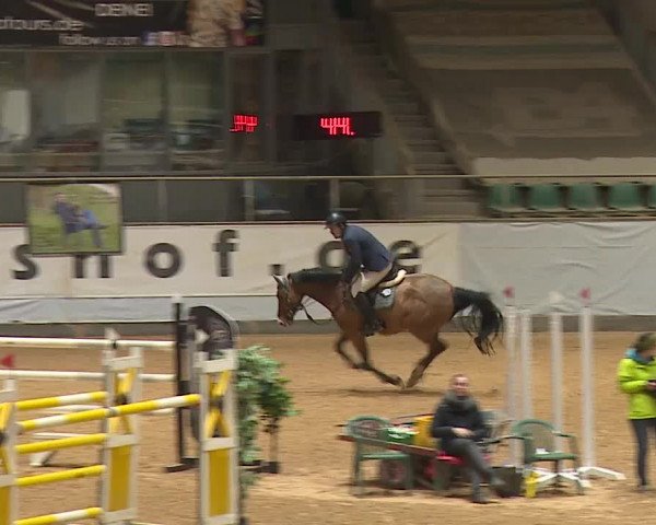 Reitturnier Kreuth/Opf. 2024