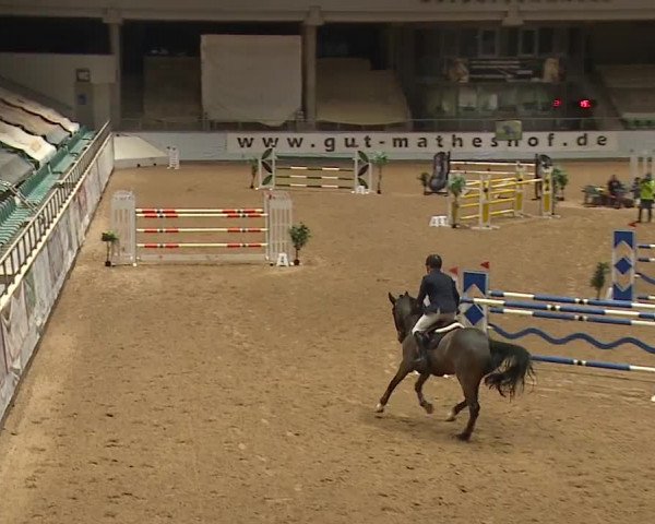 Reitturnier Kreuth/Opf. 2024
