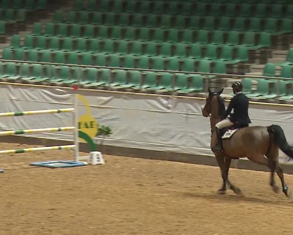 Reitturnier Kreuth/Opf. 2024
