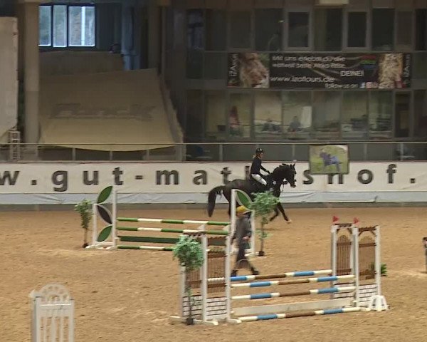 Reitturnier Kreuth/Opf. 2024
