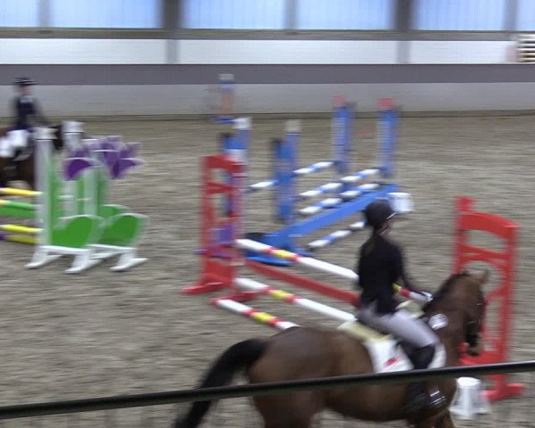 Reitturnier Luhmühlen 2024