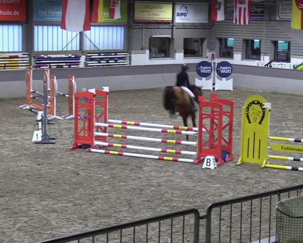 Reitturnier Luhmühlen 2024