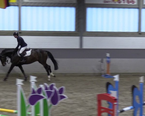 Reitturnier Luhmühlen 2024