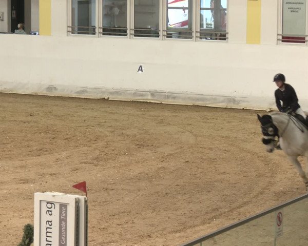 Reitturnier Stadl-Paura 2024
