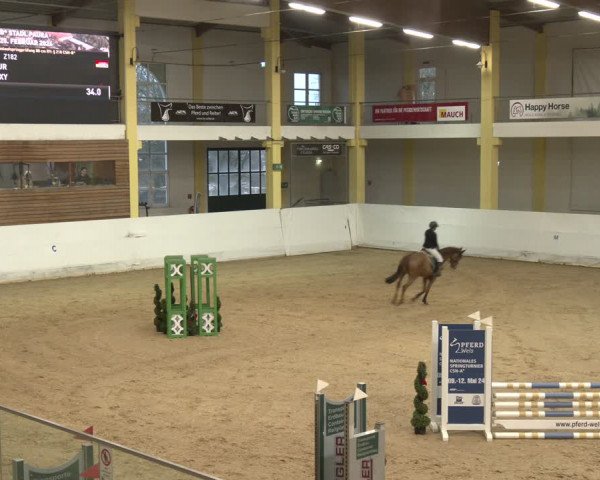 Reitturnier Stadl-Paura 2024
