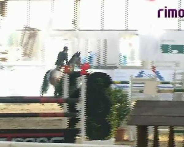Borken 2011